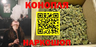 прущие крисы Лесосибирск