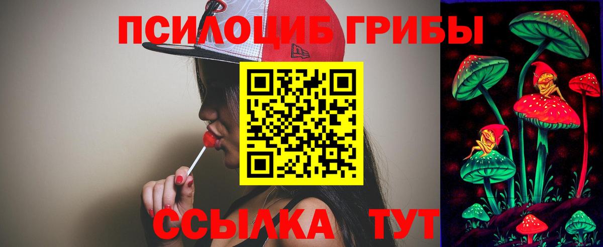 Псилоцибиновые грибы MAGIC MUSHROOMS Гусев
